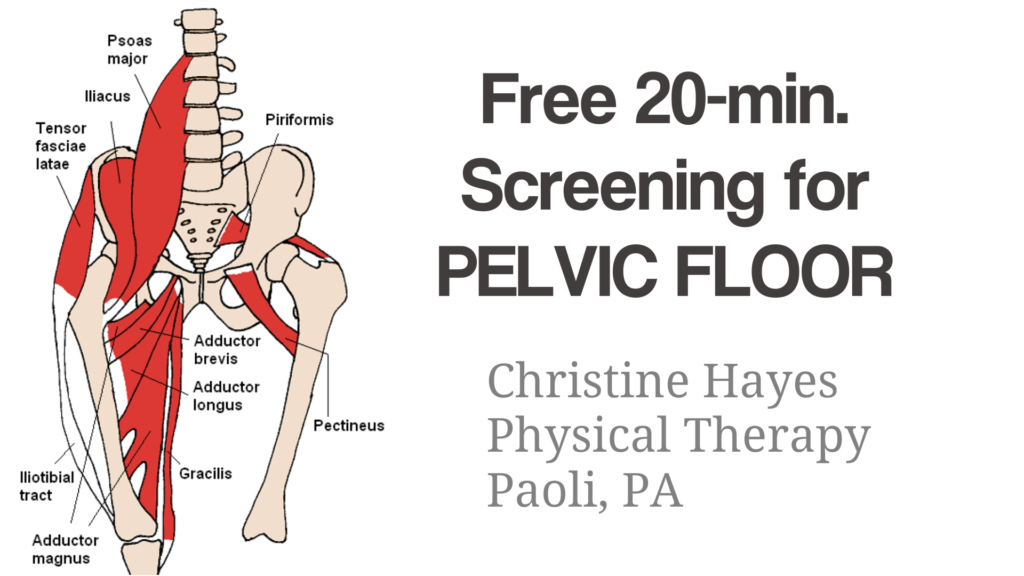 Pelvic Floor Pain? Get Treatment Now. Free Screening. 610-595-4020