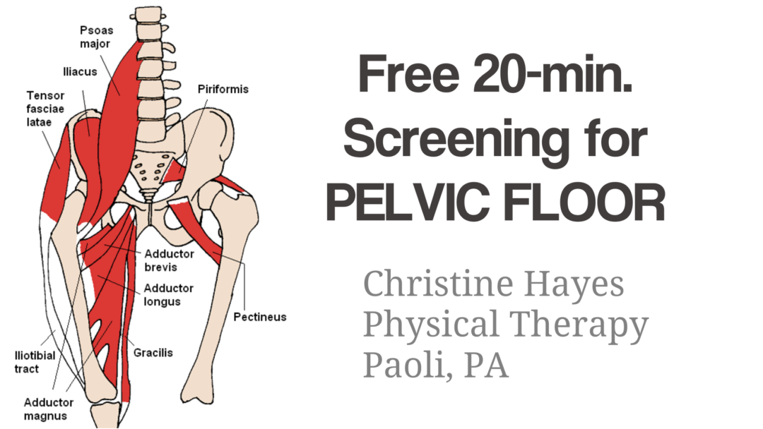 Pelvic Floor Dysfunction TreatmentHayes Physical Therapy